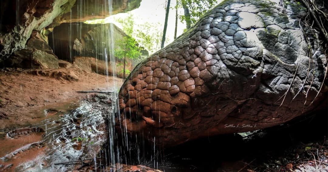 เปิดขั้นตอน เที่ยว ‘ถ้ำนาคา’ ต้องจองคิวเข้าชมผ่านแอปฯ QueQ เท่านั้น