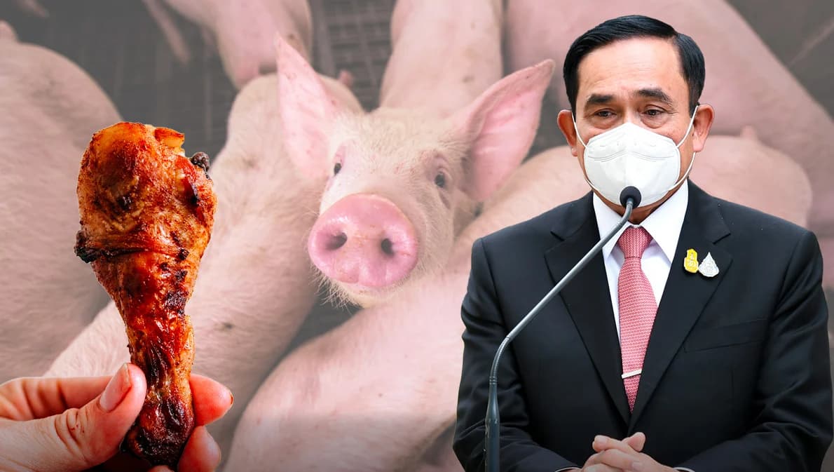 หมู-ไก่ ราคาถูกลง เพราะแก้ปัญหาเร็ว ตรงจุด