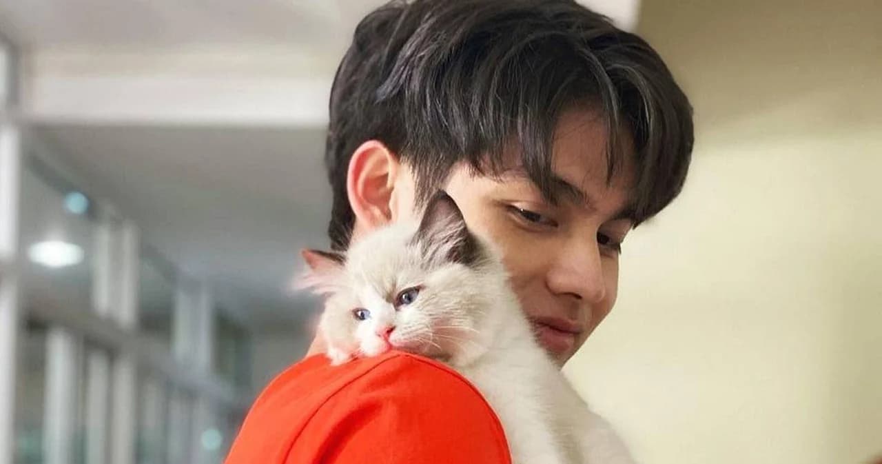 ‘ไบร์ท วชิรวิชญ์’ ทำบุญร่วมแฟนคลับ บริจาคเงิน 2 ล้านบาท ช่วยสุนัข-แมวจรจัด