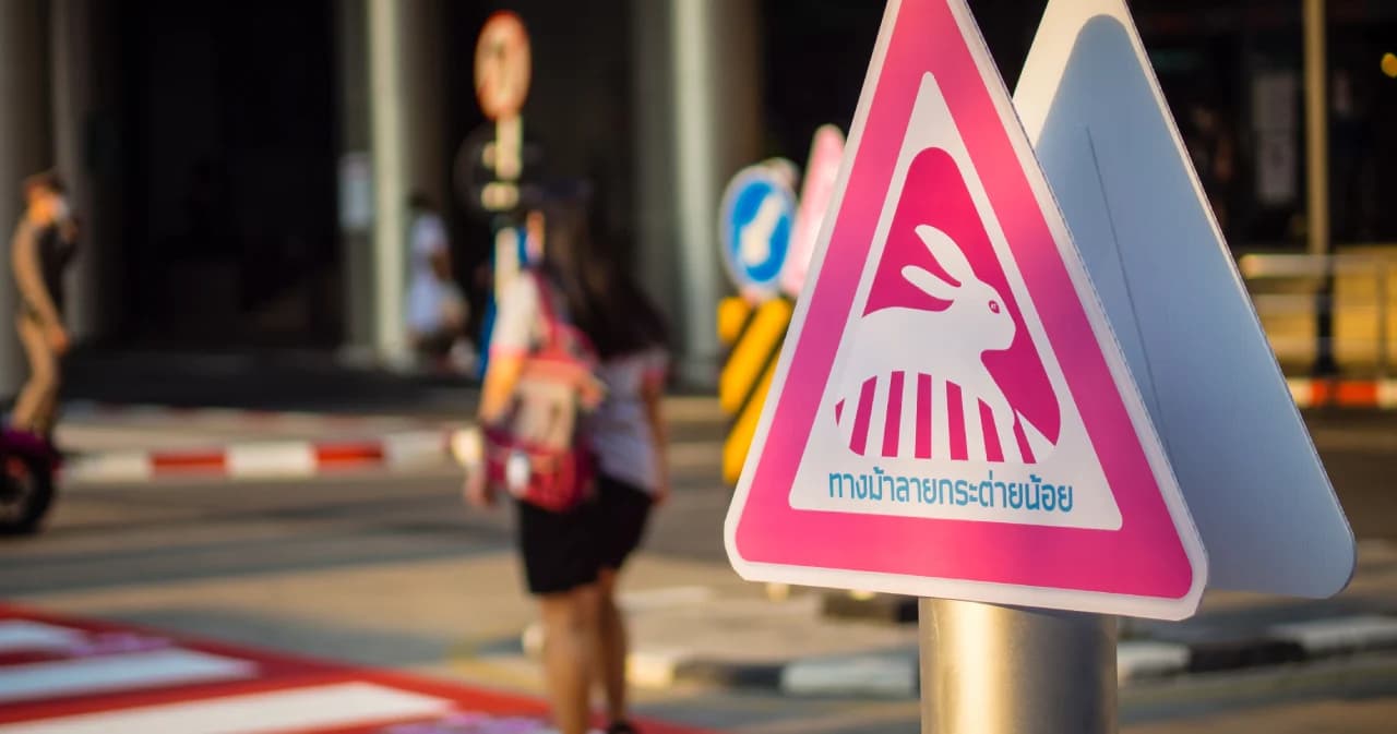 เปิดตัว ‘ทางม้าลายกระต่ายน้อย’ สร้างจิตสำนึกผู้ขับขี่และสร้างกุศลแห่งความดี ‘หมอกระต่าย’