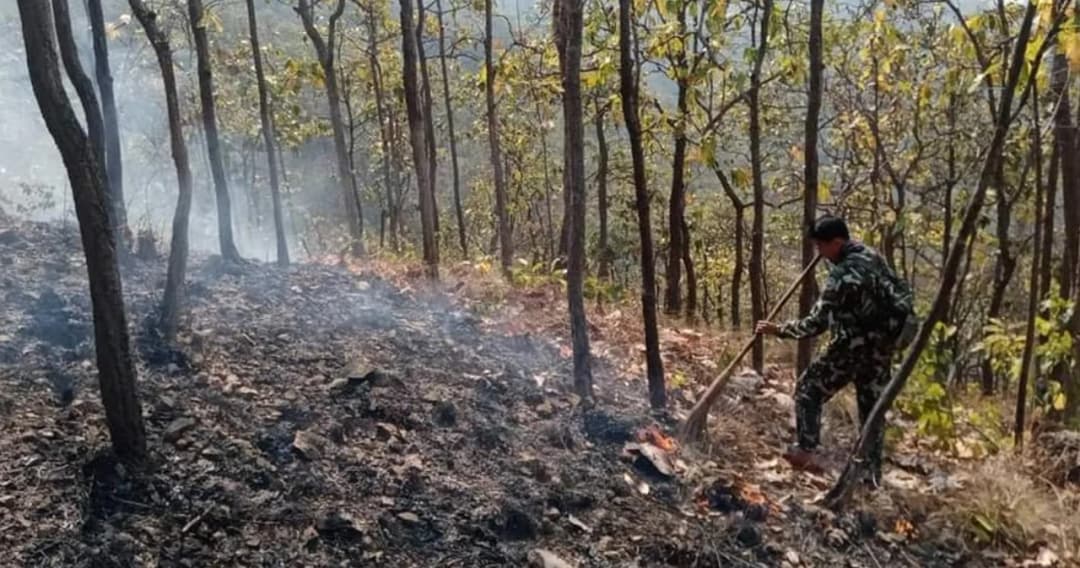 ไฟป่าเชียงใหม่ ยังน่าห่วง พบกลุ่มควันต่อเนื่อง กระทบคุณภาพอากาศ PM2.5 พุ่งสูง