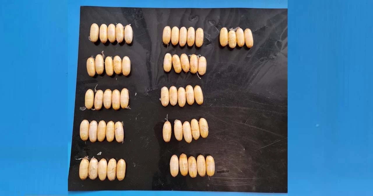 กรมศุลกากรจับกุมชาวต่างชาติ กลืนโคเคนลงท้อง 54 ก้อน มูลค่าประมาณ 3.24 ล้านบาท ลอบนำเข้าไทย