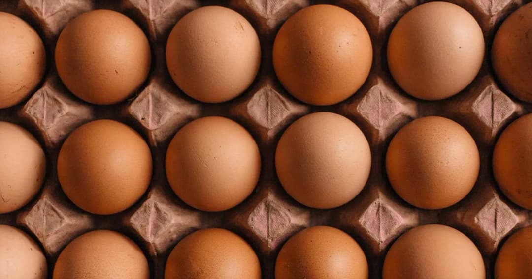 ไข่ไก่ขึ้นไม่หยุด พรุ่งนี้ 17 มี.ค. ปรับราคาอีก ฟองละ 10 สตางค์