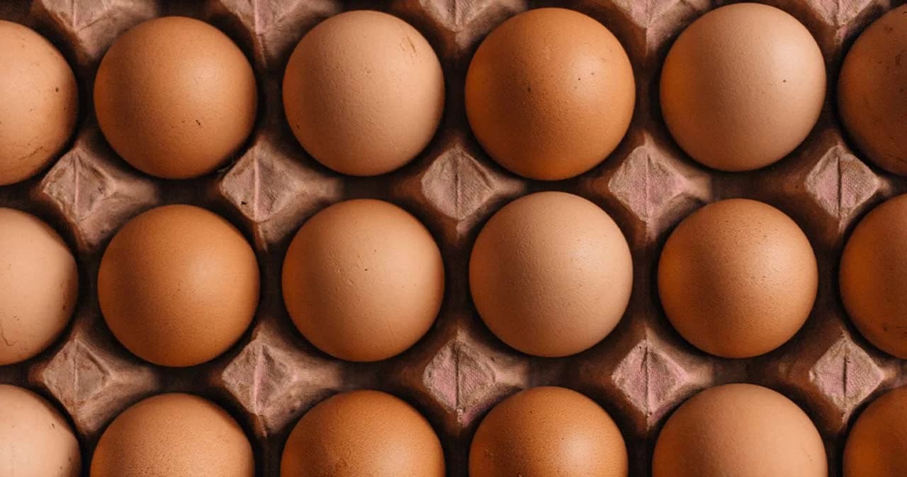 ไข่ไก่ขึ้นไม่หยุด พรุ่งนี้ 17 มี.ค. ปรับราคาอีก ฟองละ 10 สตางค์