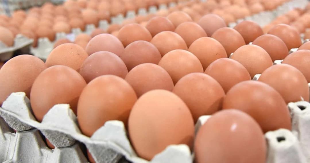 พรุ่งนี้ 24 มี.ค. ‘ไข่ไก่’ ปรับราคาขึ้นอีก เป็นฟองละ 3.40 บาท