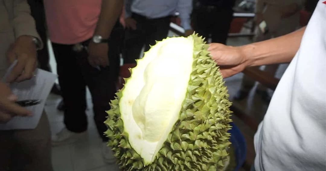 ก.เกษตรฯ ตั้งชุดเฉพาะกิจสกัด ‘ทุเรียนอ่อน’ รัฐบาลเผยข่าวดี ‘จีน’ อนุญาตเพิ่มอีก 4 ล้งไทย