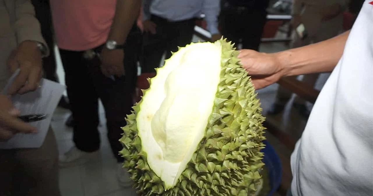 ก.เกษตรฯ ตั้งชุดเฉพาะกิจสกัด ‘ทุเรียนอ่อน’ รัฐบาลเผยข่าวดี ‘จีน’ อนุญาตเพิ่มอีก 4 ล้งไทย