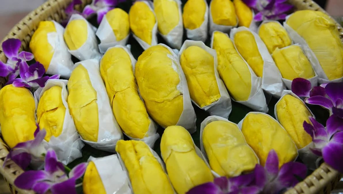 จีนอนุมัติเปิดสนามบินหนานหนิงนำเข้าผลไม้เพิ่ม ล่าสุดไทยส่งออกทุเรียนแล้ว 2 หมื่ตัน