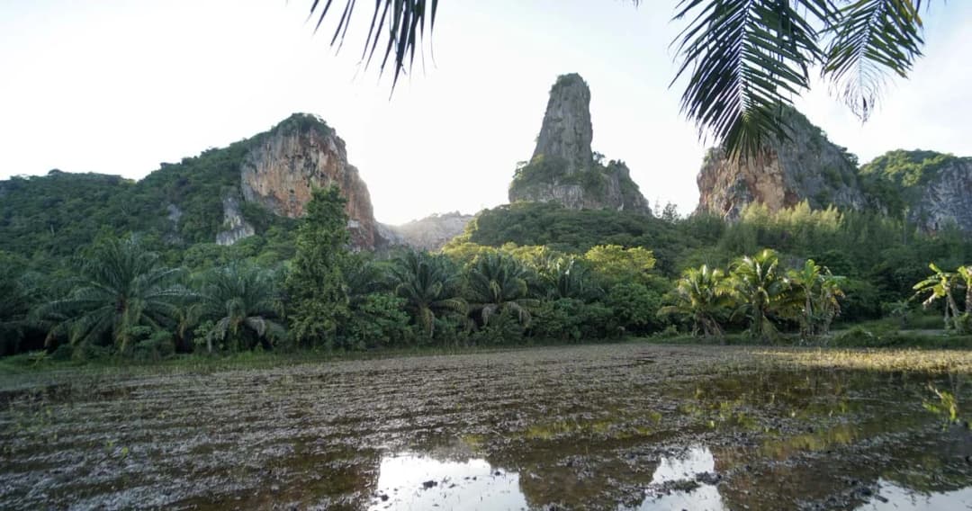 ถอดบทเรียน ‘เขาคูหา’ ชัยชนะสิทธิชุมชนต่อต้านเหมืองหินปูนเมื่อ 12 ปีที่แล้ว