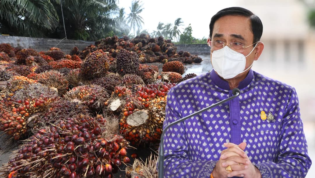 นายกฯ สั่งคุมราคา ‘น้ำมันปาล์ม’ กำชับตรึงราคาที่ 65 – 68 บาท เช็กสต๊อกทุกสัปดาห์ ห้ามกักตุน