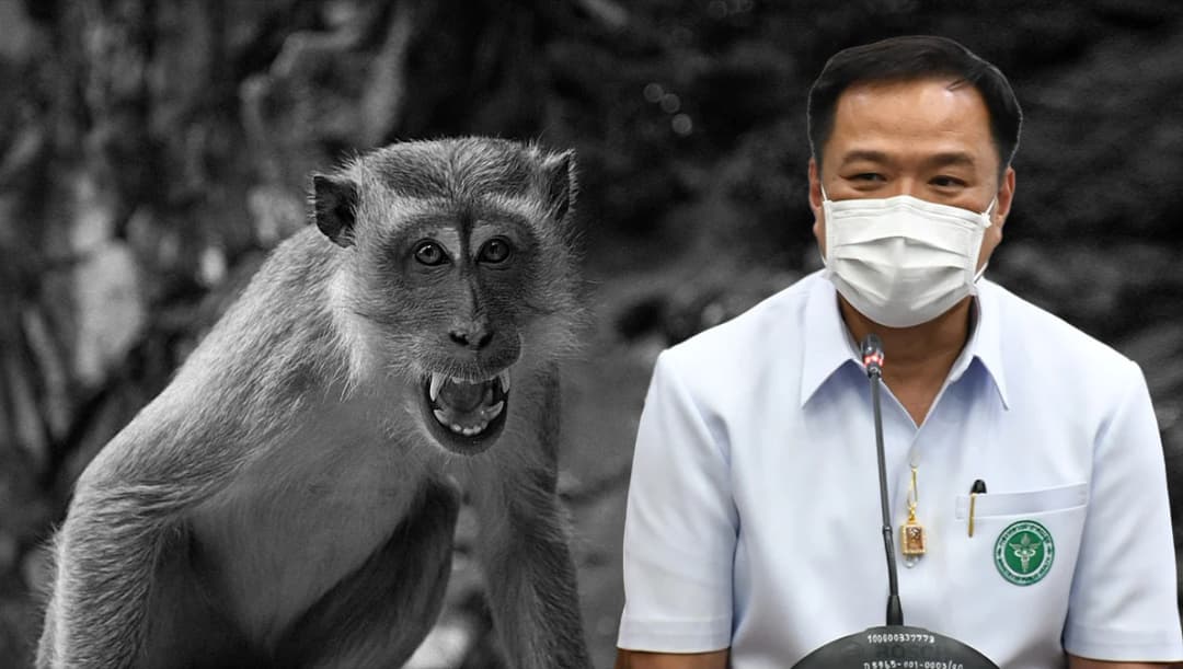 ไทยยังไม่พบ ‘ฝีดาษลิง’ ขณะทั่วโลกป่วย 344 คน มาจากประเทศเสี่ยงสังเกตอาการ 21 วัน