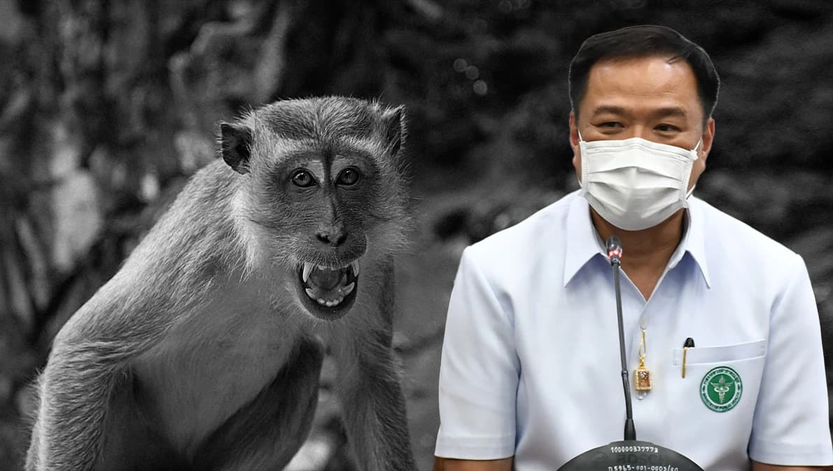 ไทยยังไม่พบ ‘ฝีดาษลิง’ ขณะทั่วโลกป่วย 344 คน มาจากประเทศเสี่ยงสังเกตอาการ 21 วัน