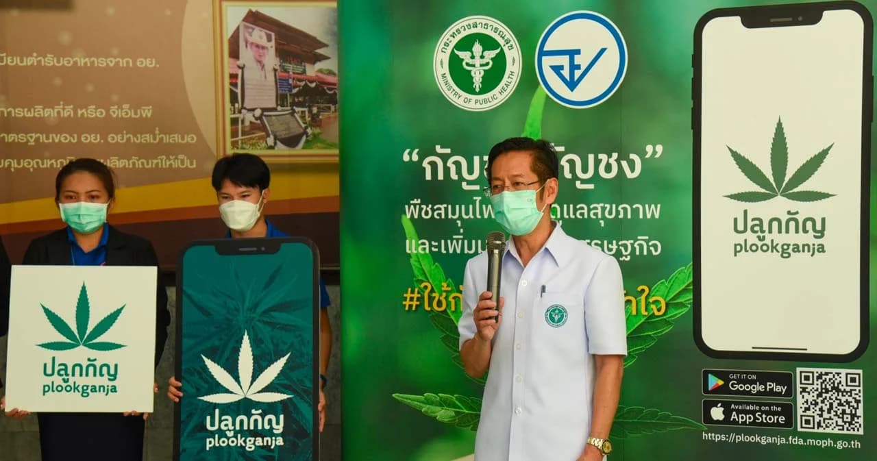 อย. เปิดตัวแอปฯ ‘ปลูกกัญ’ จดแจ้งปลูกกัญชาผ่านโทรศัพท์