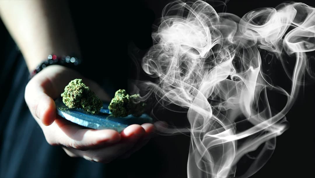 มีผลวันนี้ ‘กลิ่น-ควัน’ กัญชา กัญชง ถือเป็นเหตุรำคาญ ผู้ได้รับผลกระทบแจ้งความเอาผิดได้