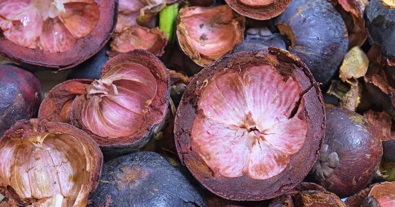 ‘เปลือกมังคุดเป็นยา’ สัตวแพทย์จุฬาฯ จำลองสารเลียนแบบได้สำเร็จ รักษาการอักเสบในลำไส้สัตว์และคน