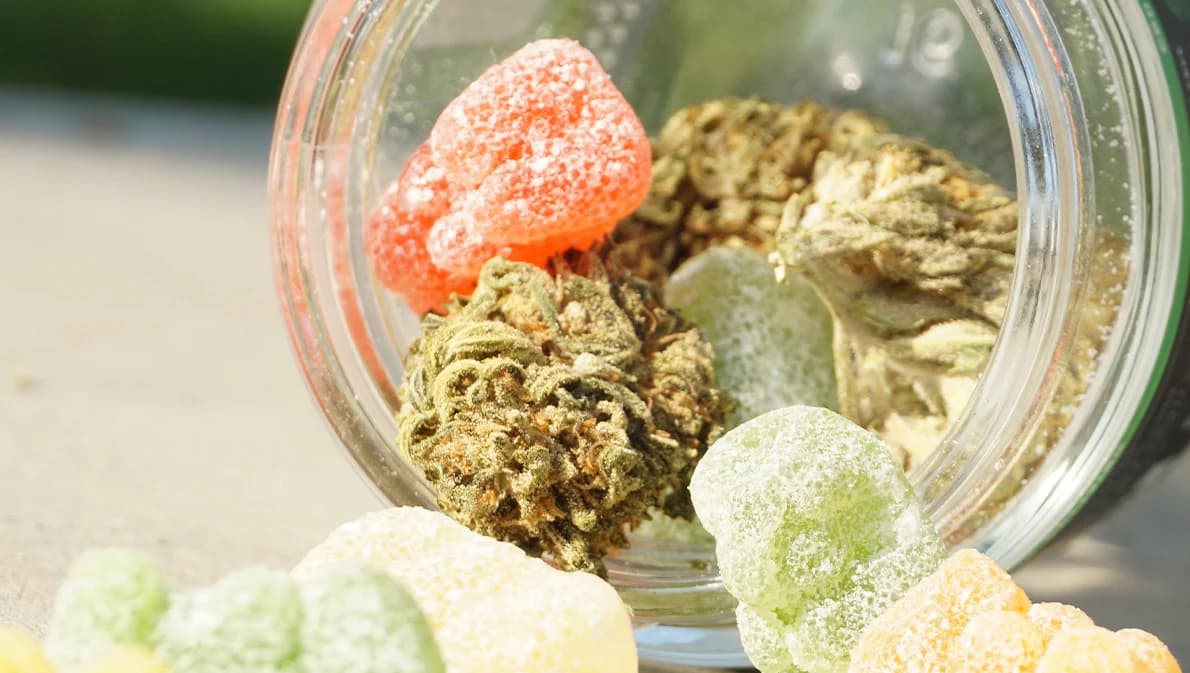 รมว.ศึกษา ออกประกาศ 6 ข้อ ห้ามใช้-ขาย ‘กัญชา-กัญชง’ ในสถานศึกษาทั่วประเทศ