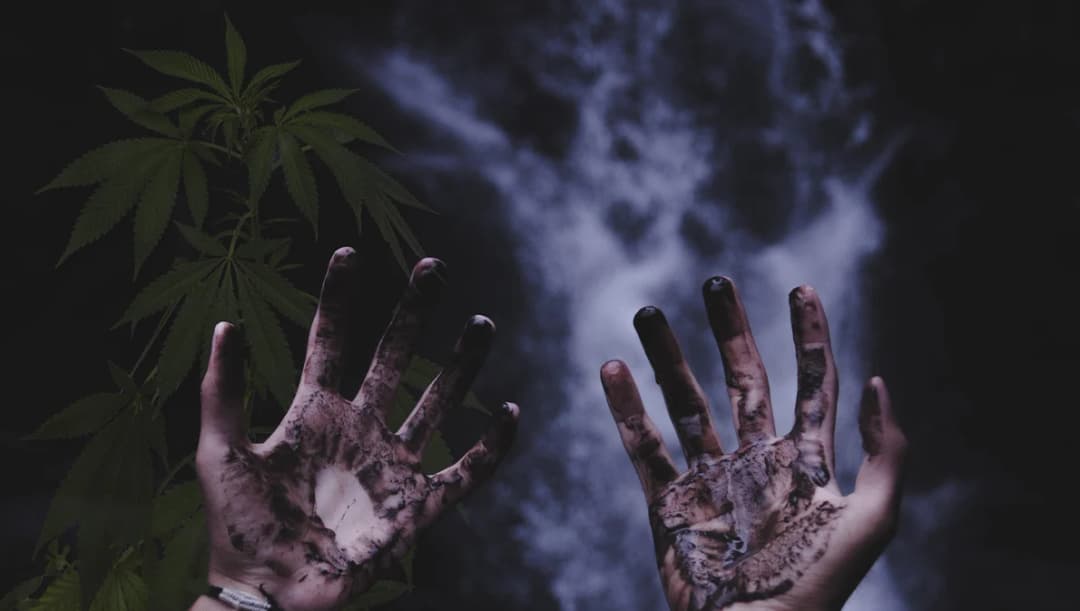 แพทย์เผยเคสหนุ่มหลอนกัญชาตัดอวัยวะเพศตัวเองมีรายงานทางการแพทย์