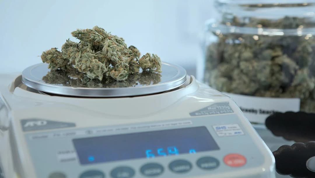 กมธ.เคาะแล้ว คุณสมบัติผู้ต้องการทำธุรกิจกัญชา มีสัญชาติไทย ไม่เคยติดคุกคดียาเสพติด