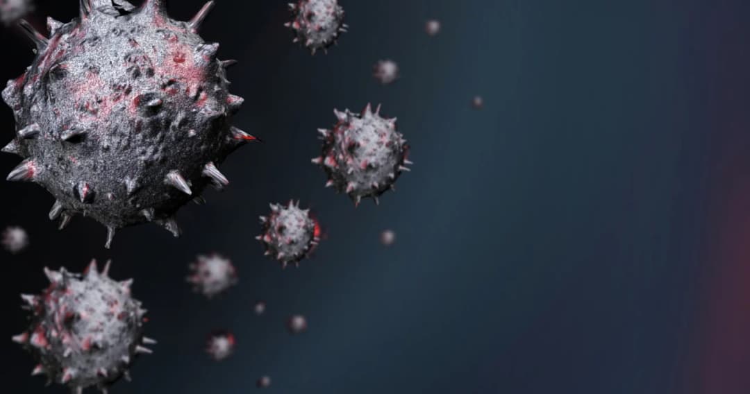 สธ. ชี้แจง โอมิครอน BA.4 / BA.5 ยังไม่มีข้อมูลชัดว่ารุนแรงขึ้น ไทยมีระบบเฝ้าระวัง ขออย่ากังวล