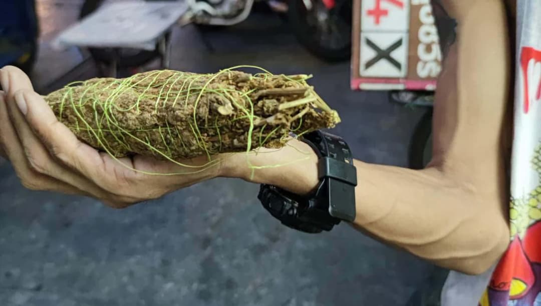 กทม.เตือนแผงค้า ‘กัญชา’ ถนนข้าวสาร ขายไม่ผิดแต่ต้องมีใบอนุญาตตั้งร้าน