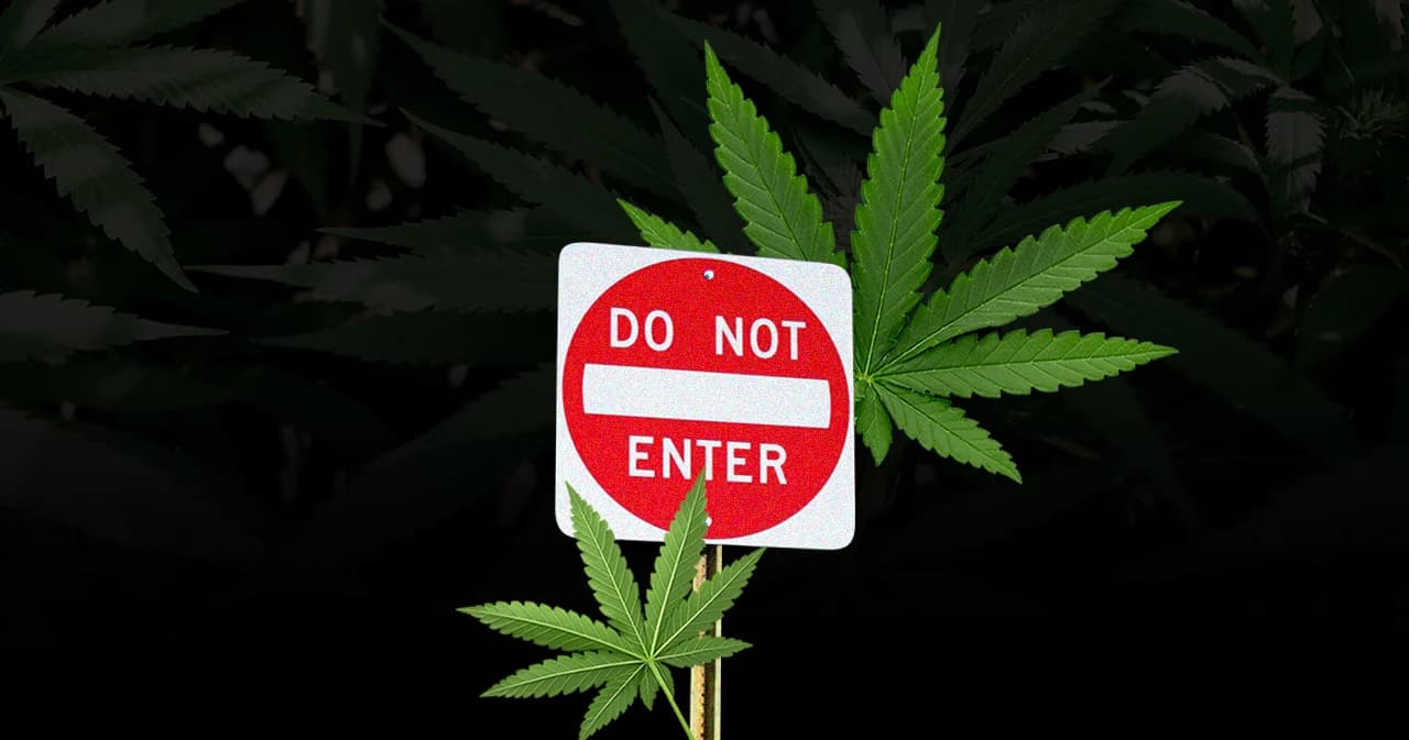 สถานทูตไทยในหลายประเทศ เตือน ห้ามนำกัญชา กัญชง เข้าประเทศ มีโทษปรับ จำคุก สูงสุดถึงประหารชีวิต