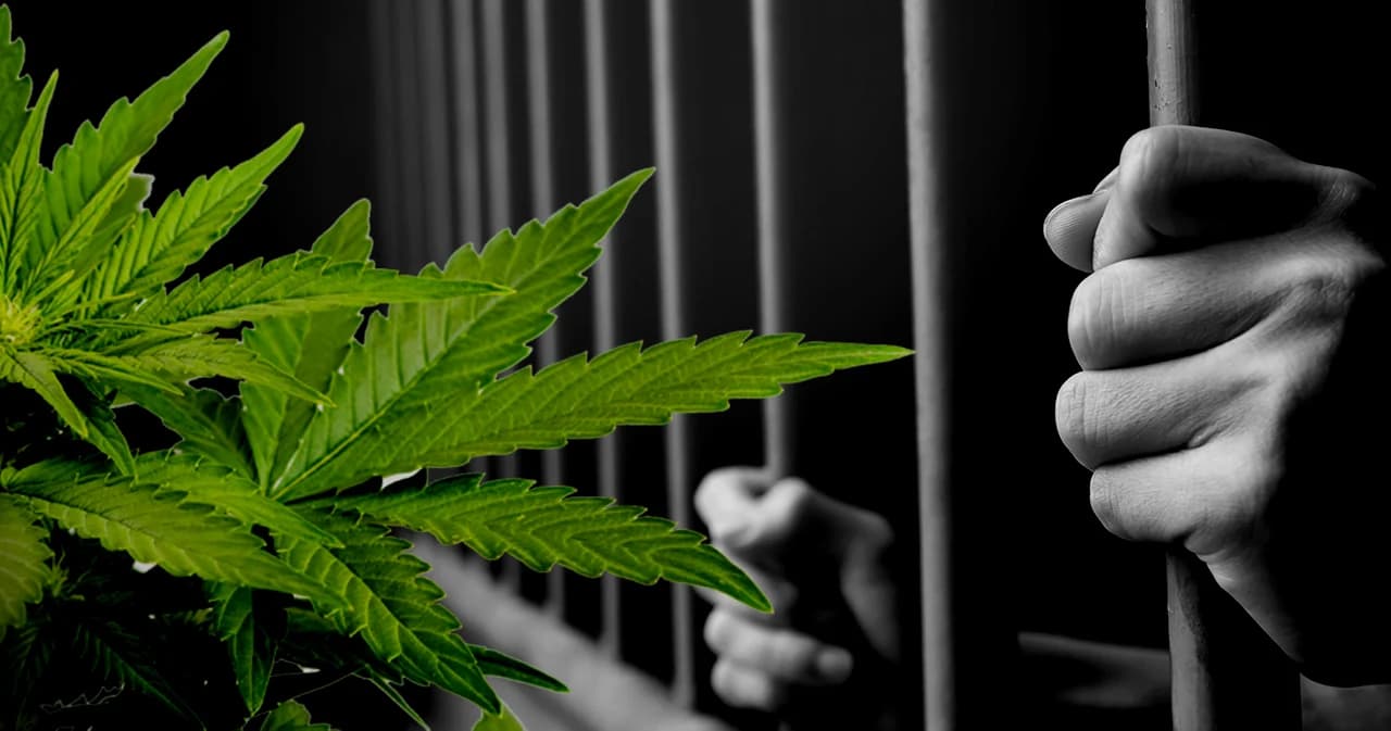 เปิดโทษ 25 ประเทศ นำเข้าผลิตภัณฑ์ ‘กัญชา – กัญชง’ มีทั้งปรับ จำคุก ถึงประหารชีวิต