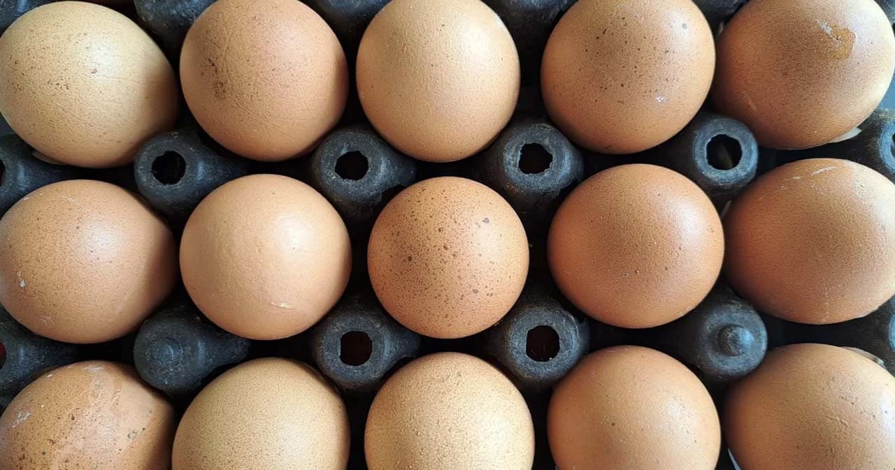 ประกาศราคาไข่ไก่ใหม่ 3.20 บาท/ฟอง มีผลพรุ่งนี้ 6 ก.ค. หลังไข่ล้นตลาด ราคาปรับลดลง