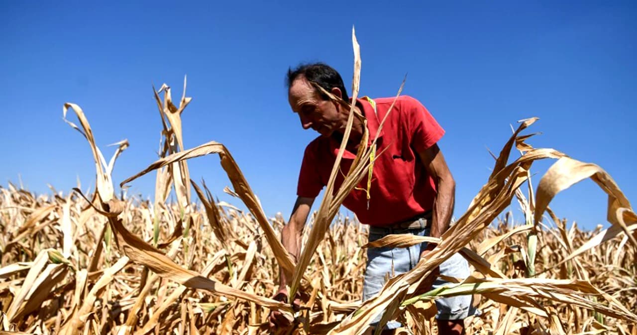 โลกรวน อิตาลีแล้งจัด จำกัดใช้น้ำ ปิดน้ำพุ ห้ามล้างรถ เกษตรกรสูญเงิน 3 พันล้านยูโร