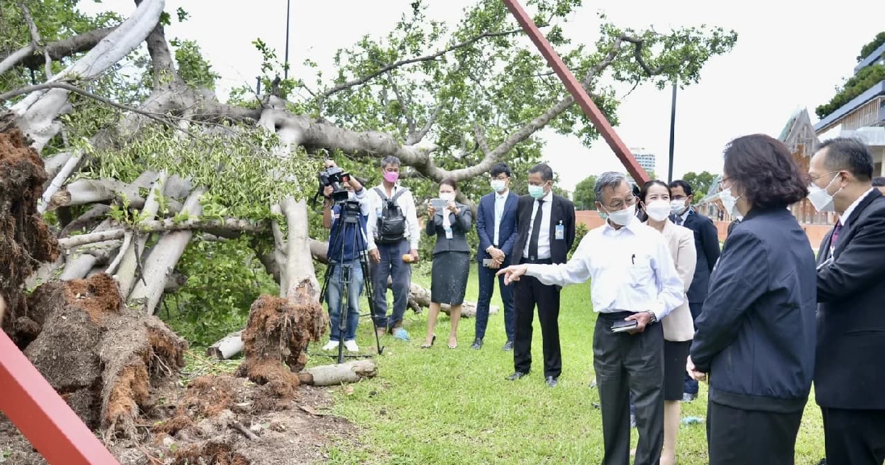 ชวน หลีกภัย เผย ต้นไทรโบราณล้มหน้ารัฐสภาไม่ได้เป็นอาเพศ แต่รากเปื่อย