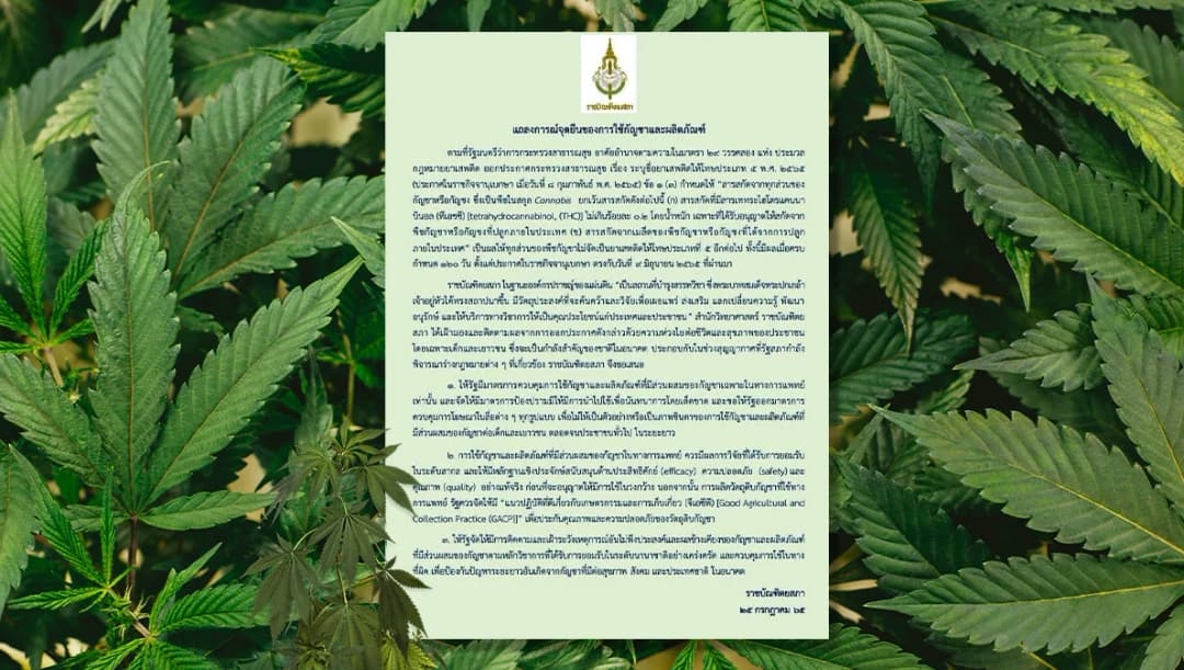 ‘ราชบัณฑิตยสภา’ ออกแถลงการณ์เรียกร้อง 3 ข้อแสดงจุดยืนการใช้กัญชาและผลิตภัณฑ์