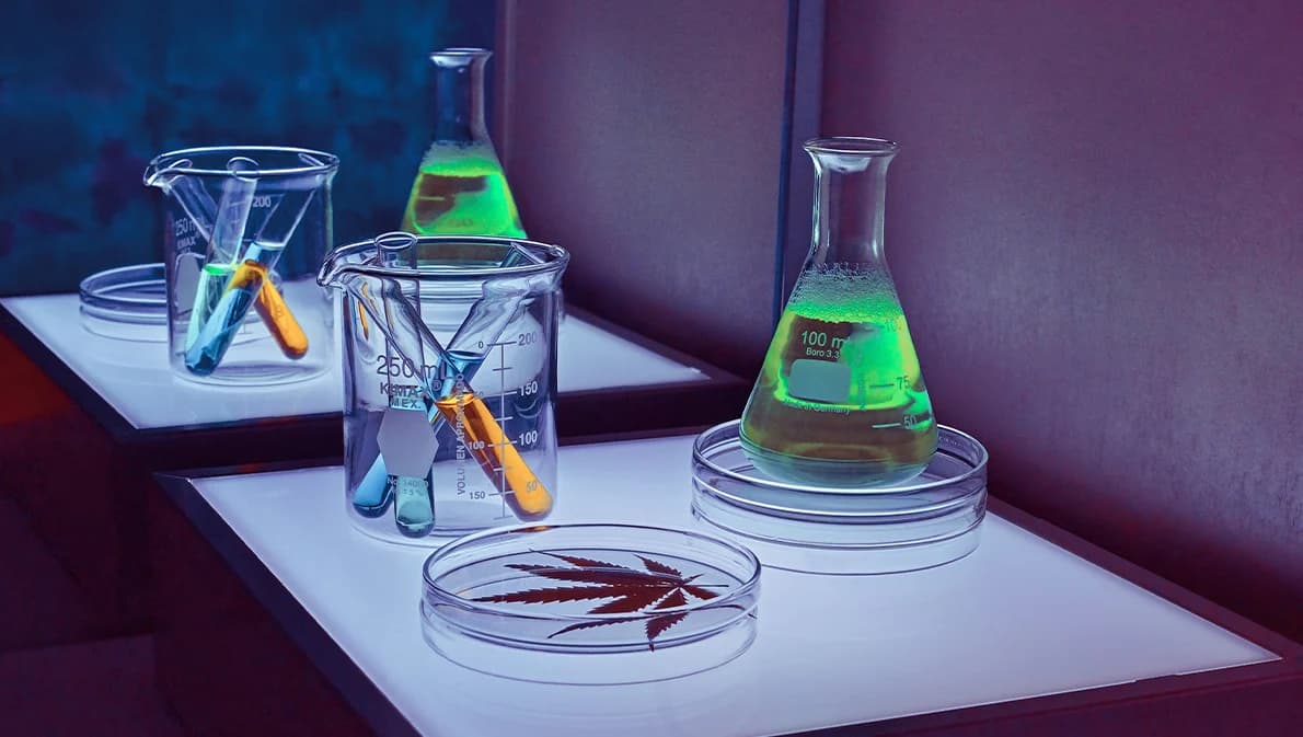 สธ.ออกหนังสือด่วนที่สุดถึง ผบ.ตร. เอาผิด ผู้ไม่ขออนุญาตวิจัย-ส่งออก-ค้า และแปรรูปกัญชา