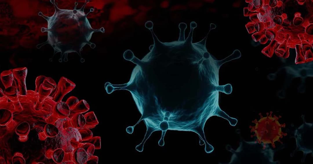 คกก.โรคติดต่อแห่งชาติ ให้สถานพยาบาลทุกสังกัด ซื้อยาต้านไวรัสโควิดได้โดยตรง เริ่ม 1 ก.ย.นี้