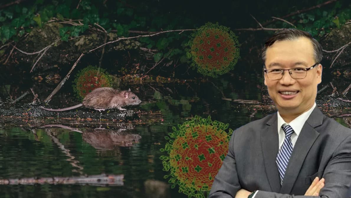 เปิดข้อมูลสำคัญ ‘เลย์วี’ ไวรัสตัวใหม่แพร่จากสัตว์สู่คนพบผู้ติดเชื้อในจีนแล้ว 35 คน