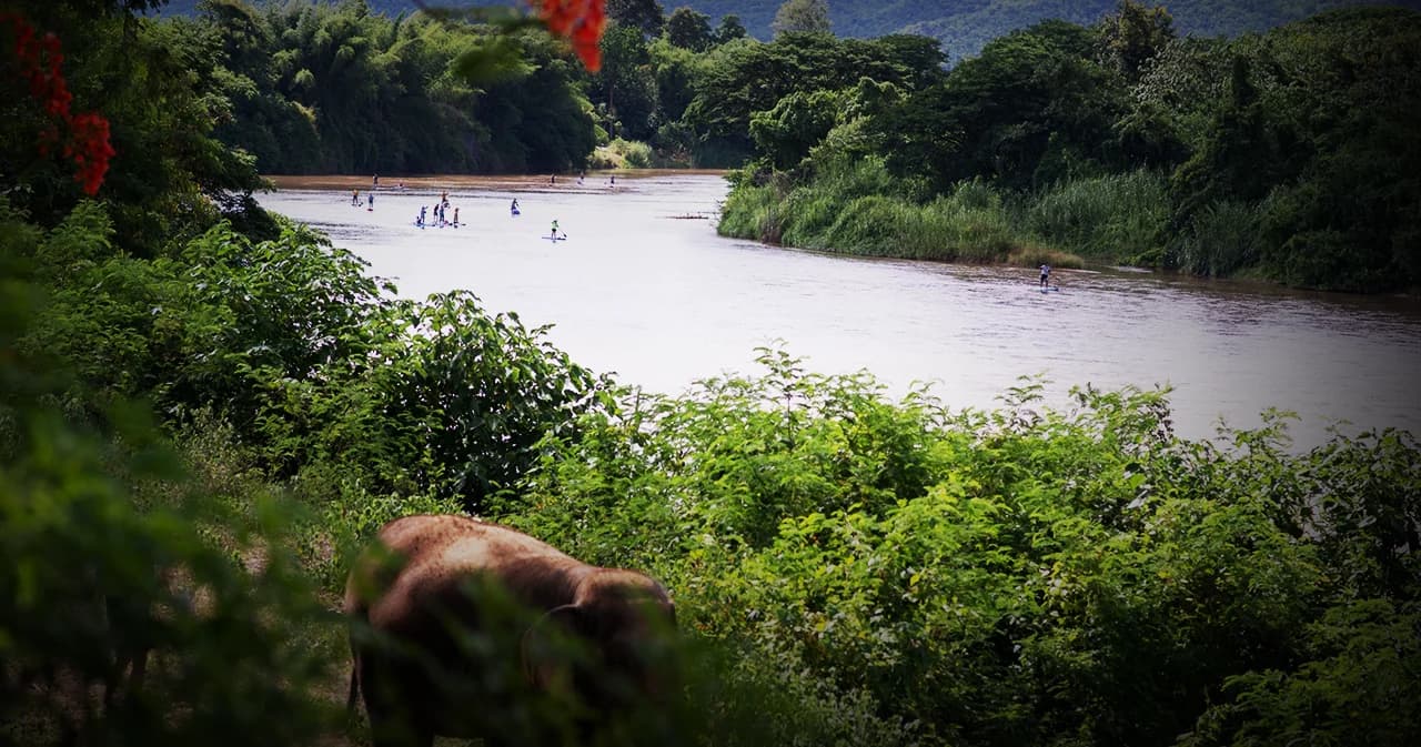 กรณีศึกษา Circular Economy ในธุรกิจท่องเที่ยวไทย