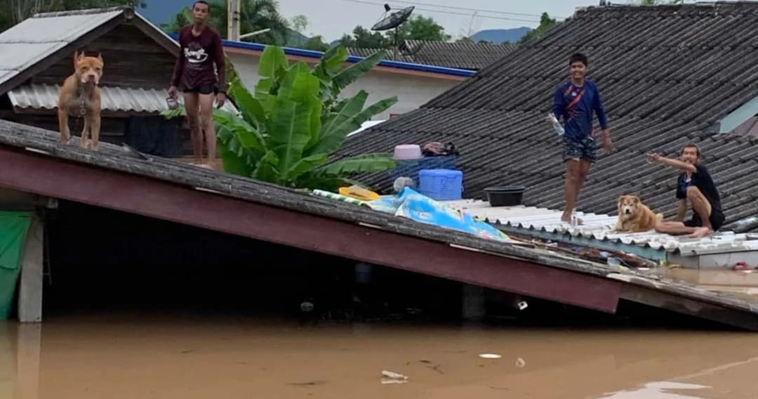 อบจ.ระยอง เปิดศูนย์ช่วยเหลือผู้ประสบภัยน้ำท่วม รับบริจาคสิ่งของ ข้าวสาร อาหารแห้ง