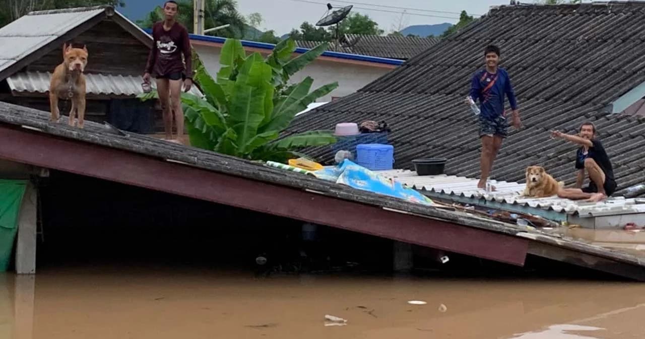 อบจ.ระยอง เปิดศูนย์ช่วยเหลือผู้ประสบภัยน้ำท่วม รับบริจาคสิ่งของ ข้าวสาร อาหารแห้ง