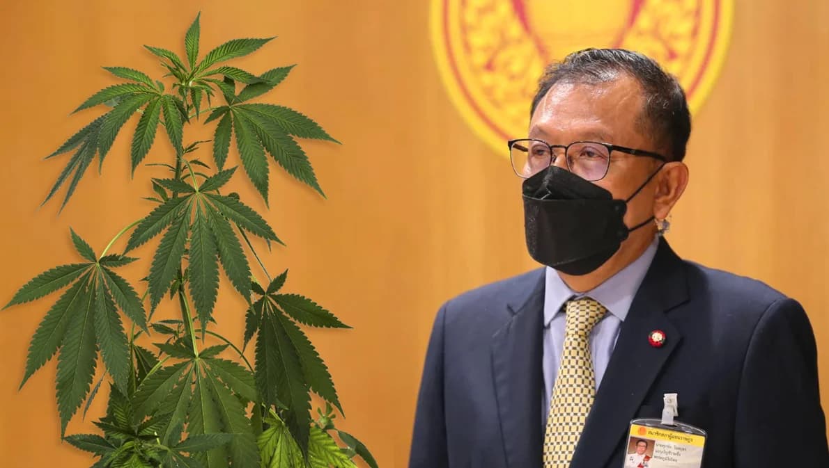 ‘ศุภชัย’ ฉุน ‘ปชป.-พท.’ สกัดร่าง พ.ร.บ.กัญชาฯ