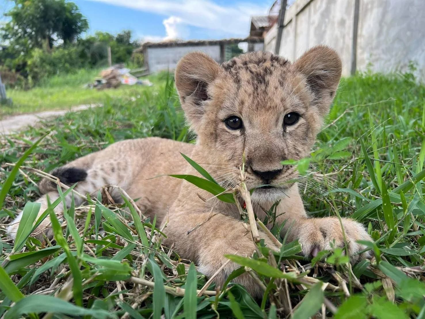 Pet Variety Exhibition มหกรรมเพื่อสัตว์เลี้ยงยิ่งใหญ่แห่งปี
