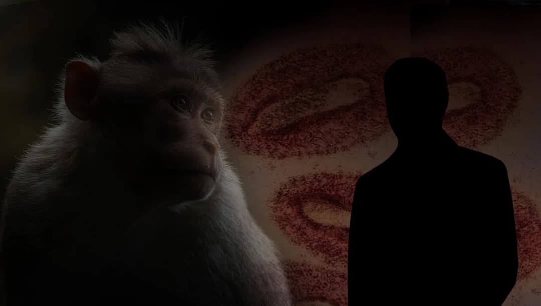 ฝีดาษลิงรายที่ 11 ชายไทยกลับจากกาตาร์ เสี่ยงสูง 59 คน