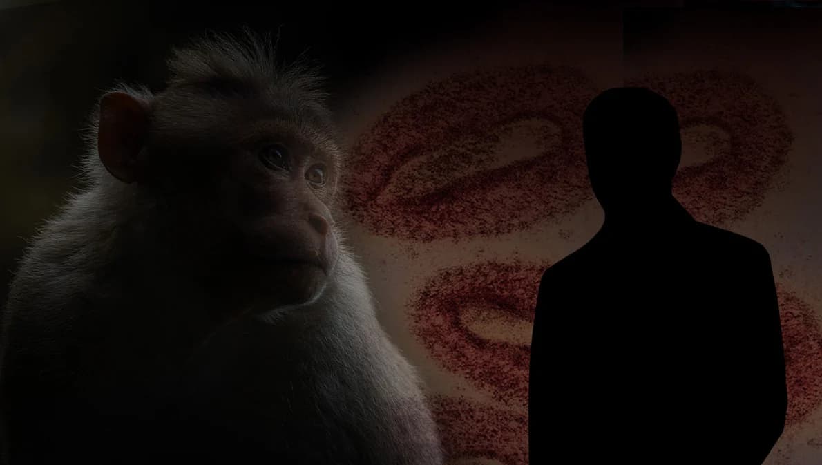 ฝีดาษลิงรายที่ 11 ชายไทยกลับจากกาตาร์ เสี่ยงสูง 59 คน