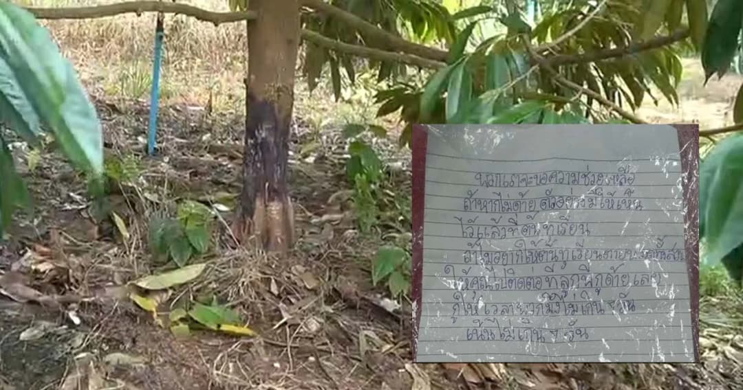 ทิ้งจดหมายเรียกค่าคุ้มครอง ทำร้าย-ขู่เอาชีวิต ‘ต้นทุเรียน’