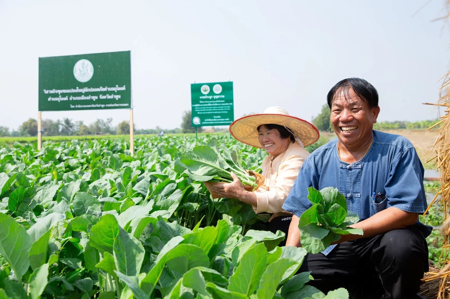 โลตัส ประกาศนโยบายด้านความยั่งยืน Vision 2030. Actions every day