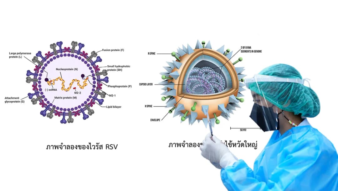 วัคซีน mRNA เข็มเดียวใช้ทั้งโควิด-หวัดใหญ่