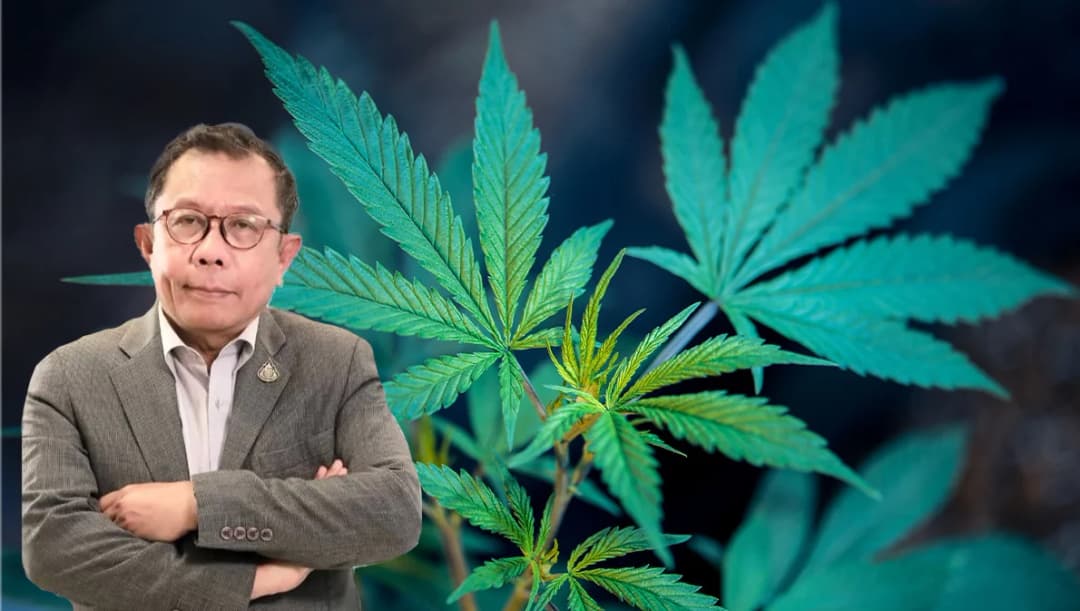 อย่าเล่นการเมืองจนทำให้บ้านเมืองเสียหาย ‘ศุภชัย’ ขอพรรคร่วมโหวตผ่าน พ.ร.บ.กัญชา