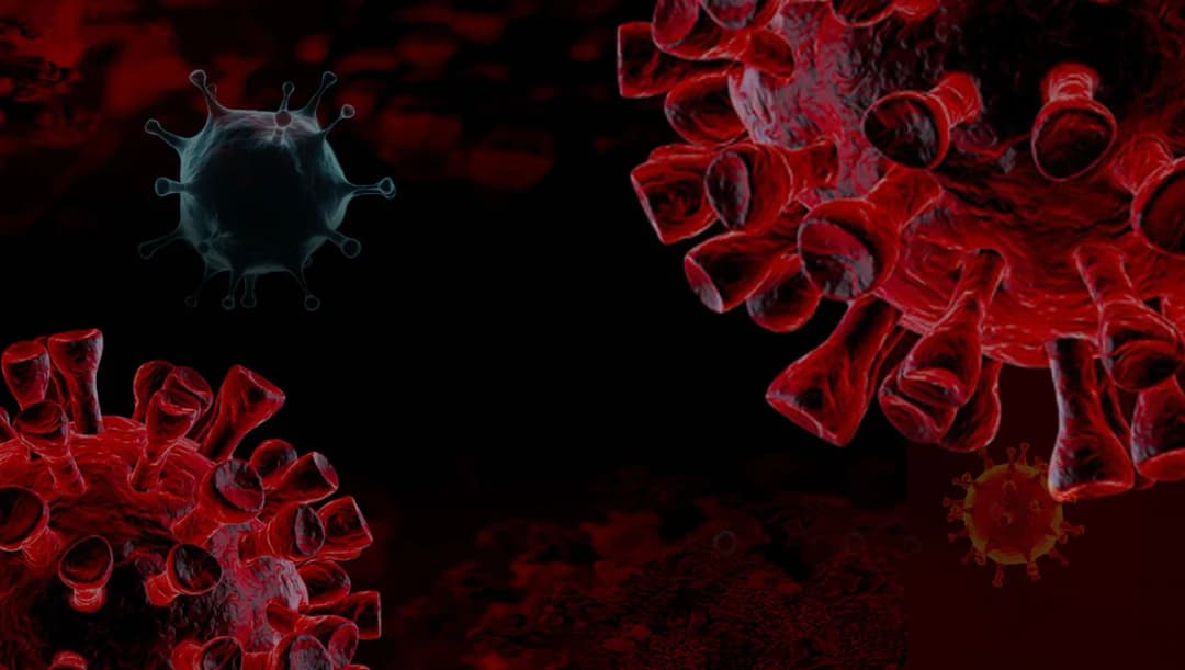 ไทยติดเชื้อ BA.2.3.20 เพิ่มอีก 2 ราย ไม่เคยไปต่างประเทศ