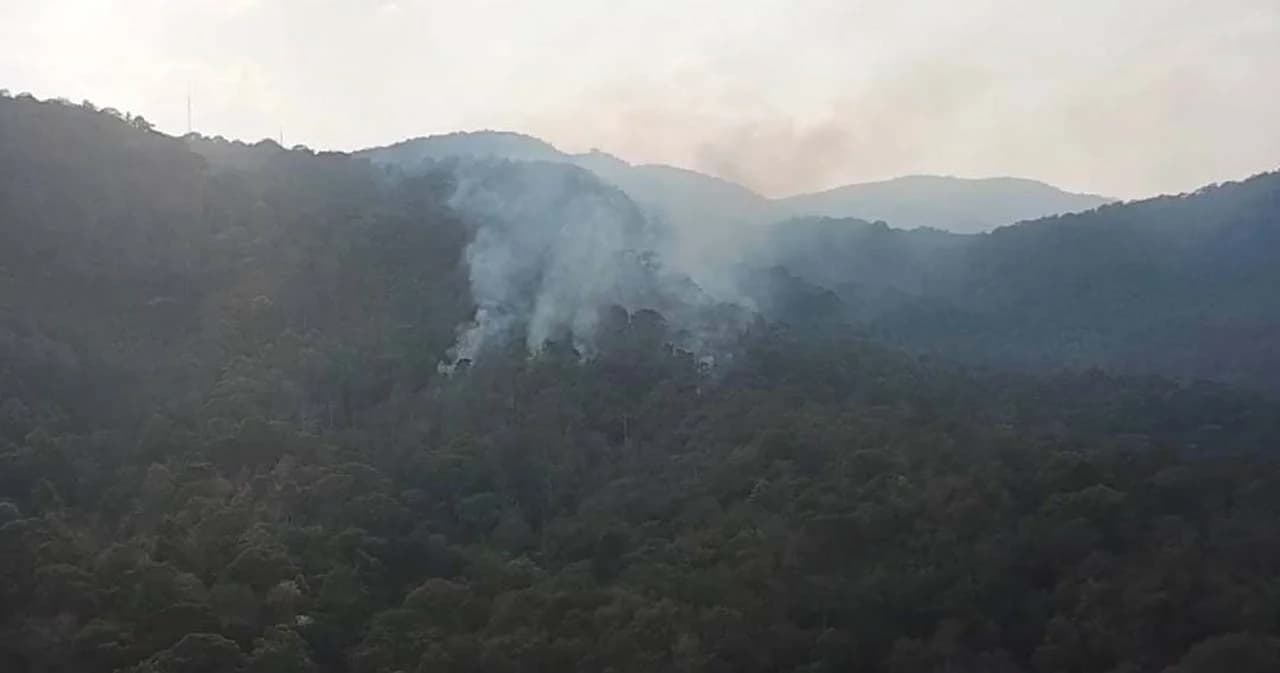 เปิดสถิติ ‘มะเร็งปอด’ ในเชียงใหม่-ภาคเหนือ สูงกว่าภาคอื่น ข้อมูลวิจัยพบชนิดของมะเร็งปอดเกี่ยวข้องกับ PM2.5