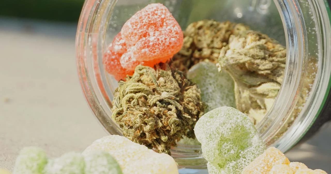 ผู้ประกอบการอาหารขาย ‘เมนูกัญชา’ ต้องทำตามประกาศของสธ. ฝ่าฝืนมีโทษปรับไม่เกิน 5 หมื่นบาท