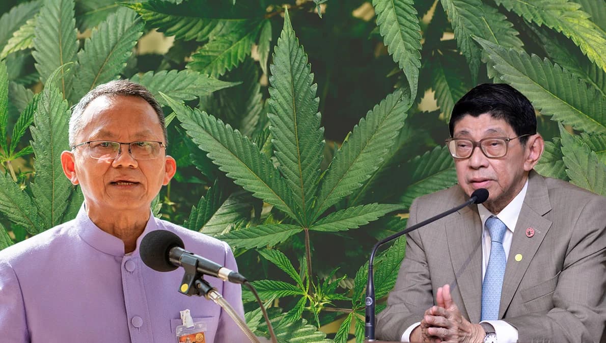 ‘กัญชาเสรี’ แก้กฎหมายกลับไปเป็นยาเสพติดไม่ได้