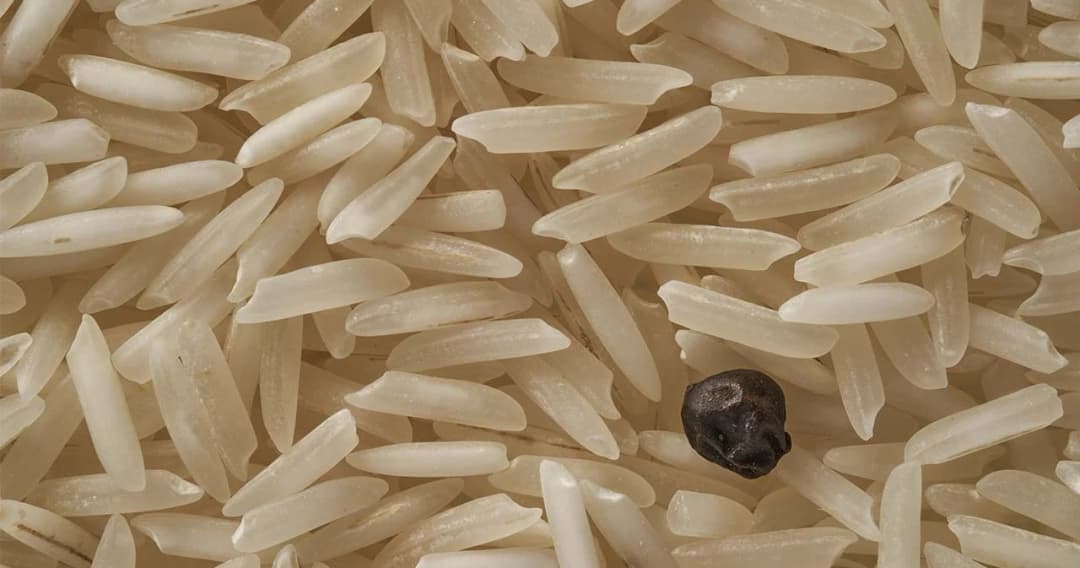 มธ.แนะรัฐอัดฉีดงบวิจัยข้าว  ทวงบัลลังก์แชมป์ ‘ข้าวที่ดีที่สุดในโลก’