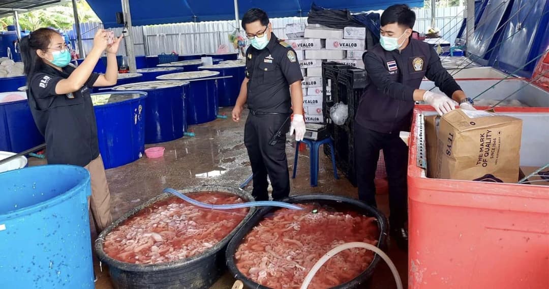 ปศุสัตว์ อายัดเครื่องในและเนื้อสัตว์แช่ฟอร์มาลินส่งขายร้านหมูกะทะ